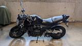 Suzuki GSF 1250 N Bandit  - SUZUKI GSF BANDIT