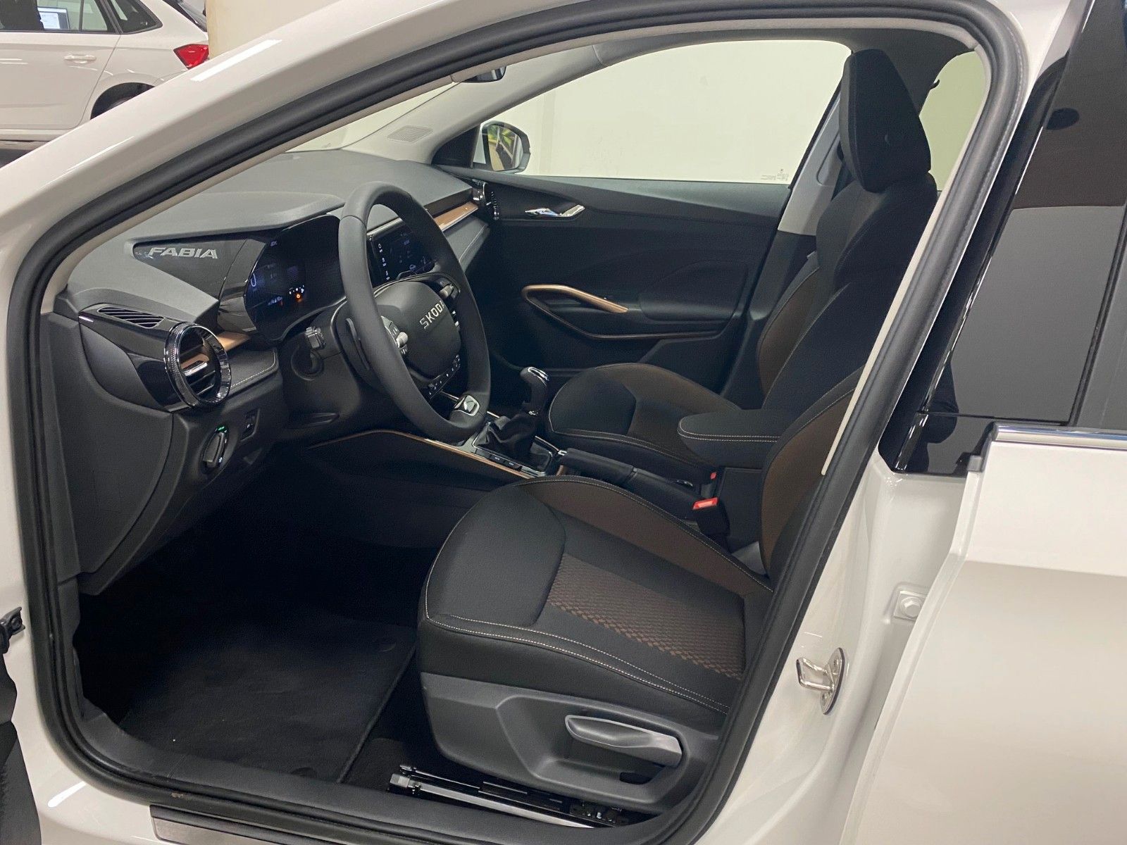 Fahrzeugabbildung SKODA Fabia 1.0l TSI DSG Selection+PDC+Alufelgen+LED++