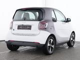 Smart fortwo EQ passion Pano LED Kamera tridion matt - Smart Gebrauchtwagen von 2024