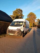 Citroën Citrön Transporter - Citroën: Transporter