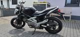 Suzuki Gladius (SFV650A) - SUZUKI GLADIUS 650