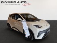 BYD Dolphin Surf Boost 43kWh KAMERA CARPLAY NAVI ALU - Image