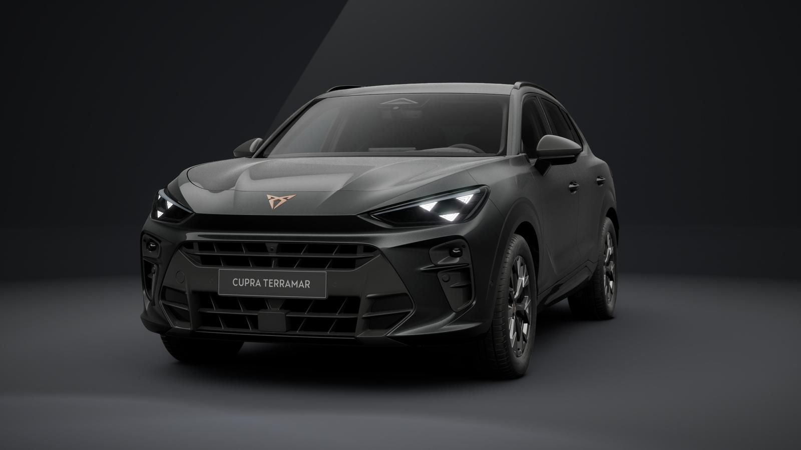 Cupra Terramar - Bild 2