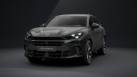 Cupra Terramar - Vorschau Bild 2