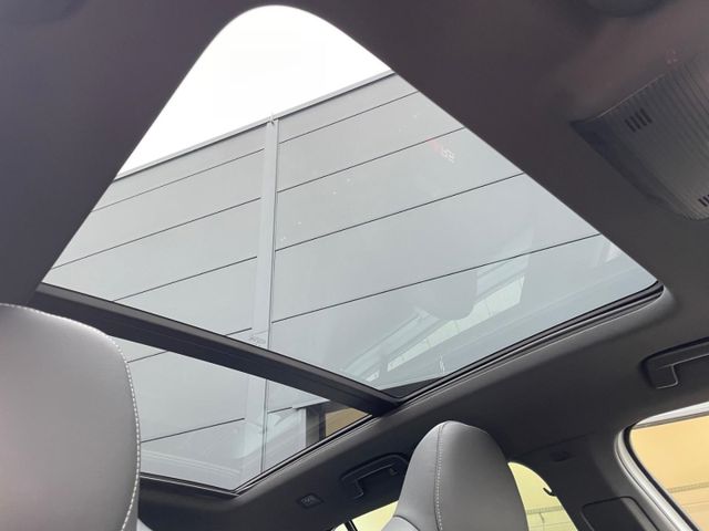 Octavia Combi RS 2.0 TSI DSG LED,Navi,AHK,Kamera