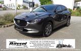 Mazda CX-30 2.0L e-SKYACTIV X 186ps 6AT FWD Takumi SUN - Mazda CX-30 mit Hybrid-Antrieb: Takumi