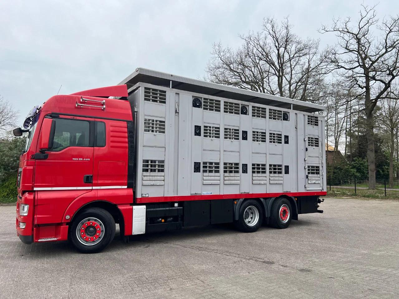 MAN TGX 26.440 6x2/4 Menke Livestock Veewagen Gross 