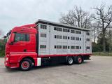 MAN TGX 26.440 6x2/4 Menke Livestock Veewagen Gross  - Offers