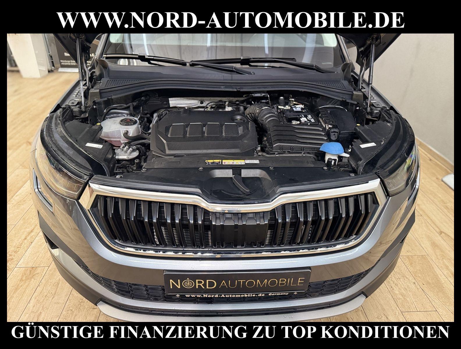 Skoda Kodiaq Ambition Tour 2.0 TDI DSG AHK/Matrix/19/