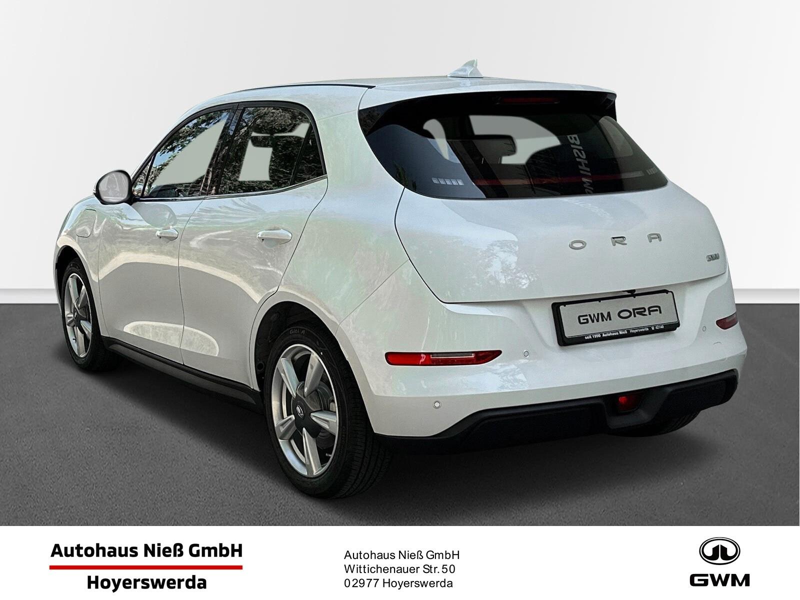 GWM 300 mit LED, 360 Grad, Stdhzg, ACC