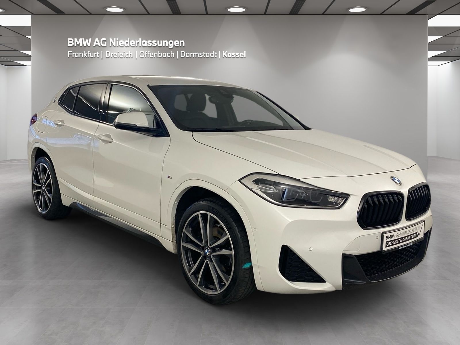 BMW X2 sDrive18d M Sport Navi AHK Kamera HiFi LED foto 2