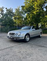 Mercedes-Benz Mercedes Benz CLK 320 Cabriolet - aus 2000: Mercedes Clk