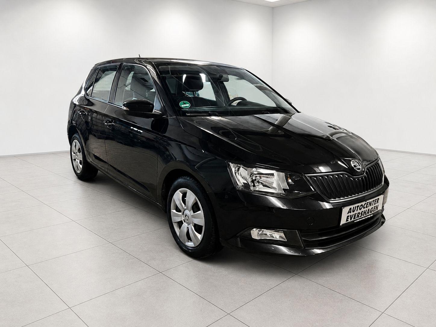 Skoda Fabia Cool Edition/Klima/S-Heft/HU&AU NEU