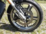 Harley-Davidson V-ROD Muscle (VRSCF) - Angebote entsprechen deinen Suchkriterien