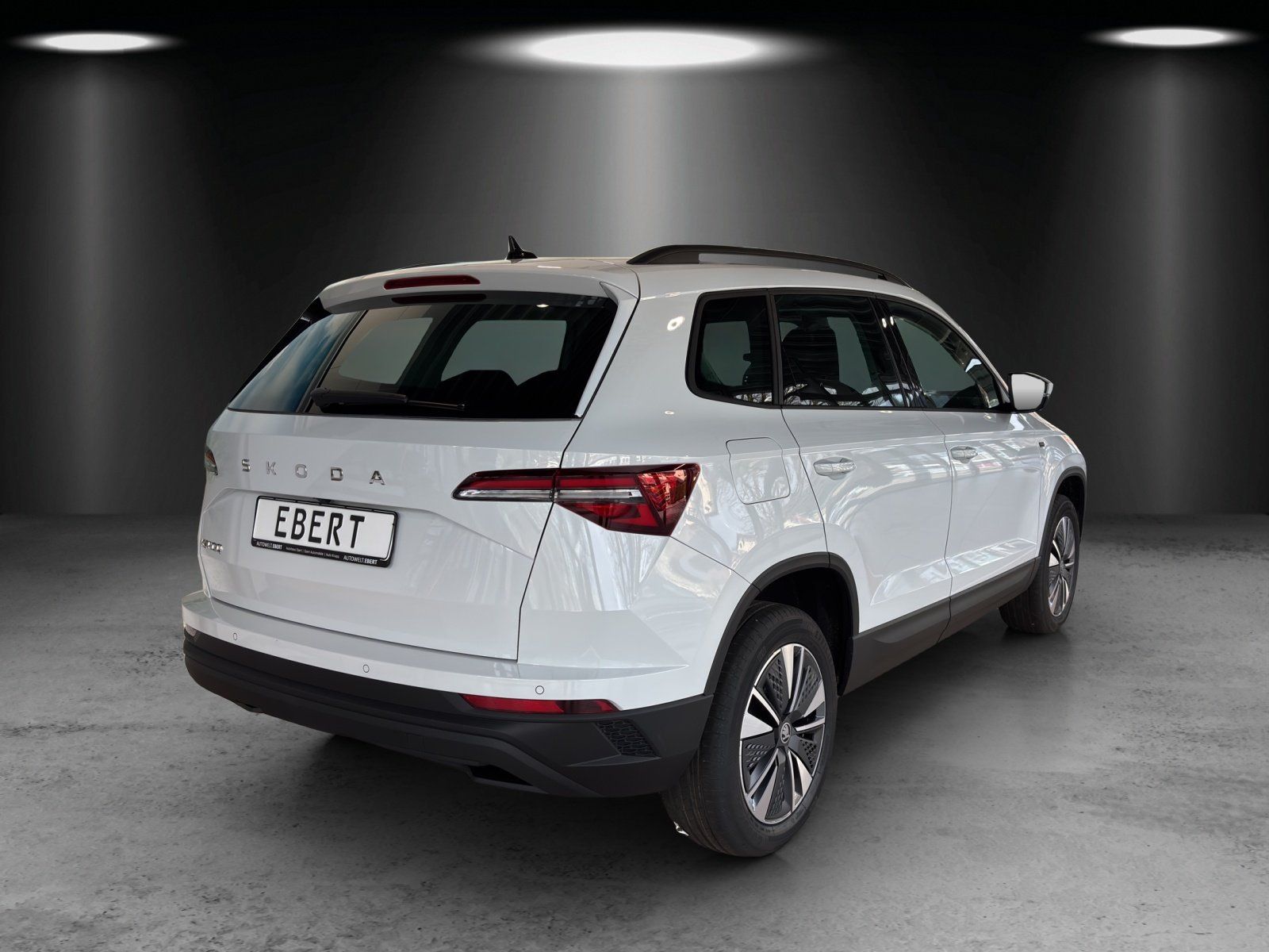 Fahrzeugabbildung SKODA Karoq Tour 1,5 TSI 110 kW DSG MATRIX/AHK/ACC/NAV