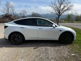 Andere Model Y Performance, EAP, USS, Edelweiß vs... - Andere mit Elektro-Antrieb: Geländewagen