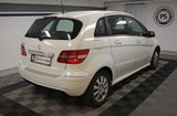 Mercedes-Benz B 200 Aut. Bi-XENON TEMP NAVI AHK KLIMA BT PDC+ - Mercedes-Benz B 200 aus 2009