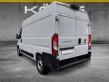 Fiat Ducato Serie 9 35 Multijet 140 L2H2 Kastenwagen - Fiat mit Diesel-Antrieb: Limousine