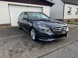 Mercedes-Benz E350d CDI Avantgarde Assist.Paket/R.Kamera/Xenon - graue Mercedes-Benz 350