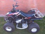 Kymco Maxxer 250, HU 8/26, 7571km, sehr guter Zustand - QUAD 250