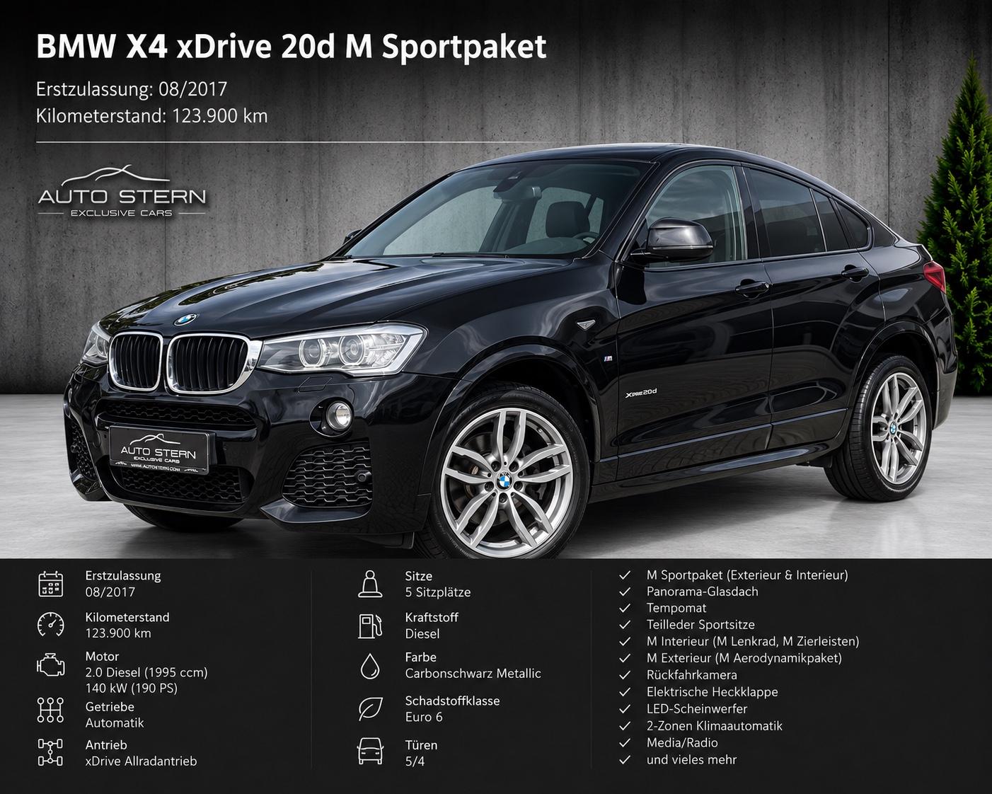 BMW X4 xDrive 20 d M Sport GRA T.LEDER RCAM