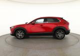 Mazda CX-30 2.0 SKYACTIVE Exclusive Line AWD LED 360° - Mazda CX-30 mit Panoramadach