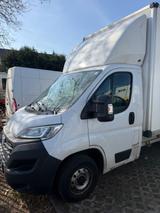 Fiat Ducato Koffer - Fiat Ducato Koffer Gebrauchtwagen