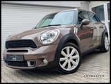MINI Cooper*S*Sport*Countryman*Xenon*Klimaauto*PDC - MINI Countryman Serie: Van
