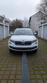 Skoda Kodiaq 2.0 TDI DSG ACTIVE - 7-Sitzer - Skoda Kodiaq: Active