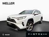 Toyota RAV 4 2.5 Hybrid LED-SW,ACC,Lenkradhzg.,Navi,AHK