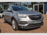 Opel Grandland X Edition 1.6 D PDC Winterpaket - Opel Grandland (X) Edition