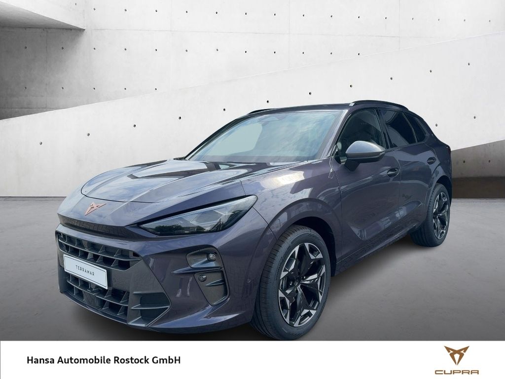 Image of Cupra Terramar