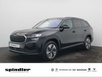 Skoda Kodiaq - Vorschau Bild 1