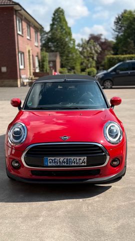 MINI Mini Cooper Cabrio Leder