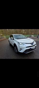 Toyota RAV 4 2,5-l-Hybrid Executive Auto 4x4 Executive - weiße Toyota RAV 4