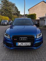 Audi SQ5 3.0 Plus TDI Quattro *STAGE1*8-FACH*VOL - Audi SQ5: Plus