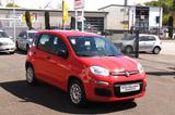 Fiat Panda Easy,CITY LIFE, Aus 1-Hand,Komfort-Paket ! - gebrauchte Fiat Panda aus dem Jahr 2019