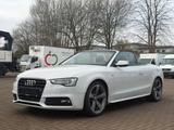 Audi A5 Cabriolet 1.8 TFSI S-Line/LEDER/SITZH/PDC - Audi A5: Cabrio