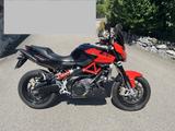 Aprilia Shiver 750 ABS Service/TÜV nagelneu Tourensch. - APRILIA 750 SHIVER