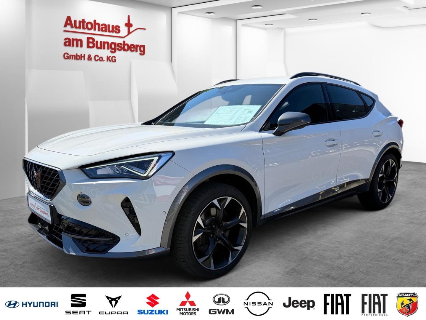 Cupra Formentor VZ 2.0 TSI DSG 245PS*Beats/Navi/Assist