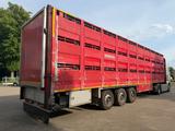 LeciTrailer Newnion Viehtransport/3-ACHSER/LUFTFEDERUNG - LeciTrailer LKWs