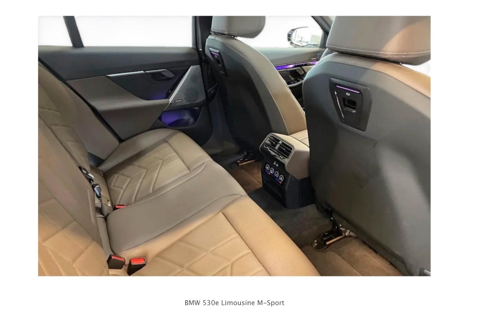BMW 530e M Sport / PANO / AHK / HK / BRAUN LEDER