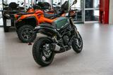 Benelli Leoncino 800 , unfallfrei, 1.Hand, Scheckheft - Offers