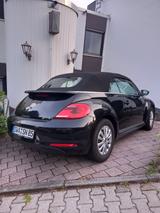 Volkswagen Beetle 1.2 TSI BMT CLUB Cabriolet CLUB - gebrauchte VW Beetle aus dem Jahr 2015