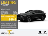Cupra Terramar - Vorschau Bild 1
