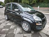 Fiat Panda Pop *TÜV NEU* - Fiat Panda Gebrauchtwagen in Mülheim (Ruhr)