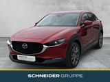 Mazda CX-30 EXCLUSIVE-LINE 186 2WD MATRIX+360°+LEDER - Mazda CX-30: Exclusive Line