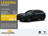 Cupra Terramar - Vorschau Bild 1