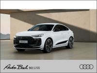 Audi e-tron - Vorschau Bild 1