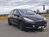 Peugeot 307 Sport HDi FAP 135 Sport - Peugeot 307 Sport mit Diesel-Antrieb
